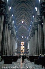 Its most amazing feature is its 135 spires, innumerable statues and gargoyles
[Duomo - Milan - Italy]