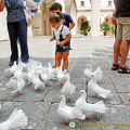Kids enjoying feeding the fantail doves
