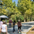 Walking to the Pompeii ruins (2059 visits) Walking to the Pompeii ruins