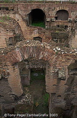 The Colosseum