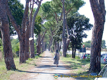 In the old days you could catch a public bus to Castel Romano, but now it's easier by shuttle