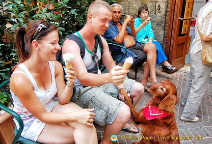 Even the pooch is a San Gimignano gelato fan