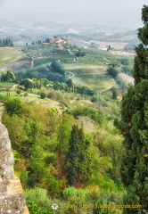 San Gimignano vineyards and countryside