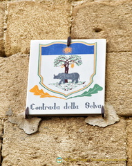 Emblem of the Contrada della Selva (the woodland)