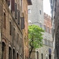 Exploring the streets of Siena