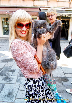 What a cool cat! (1044 visits) What a cool cat!