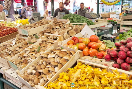 Wonderful mushrooms