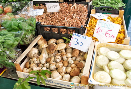 Porcini at 30 Euros a kilo