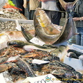 Me checking out the range of fish