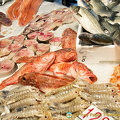 A mix of seafood