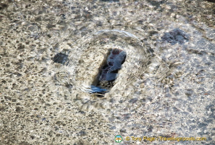 Water bubbling into Piazza San Marco