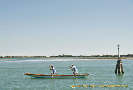 Training for the Burano Regatta?