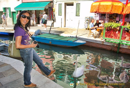 Shoe-chomping swans