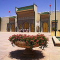 Fez (1627 visits) Fez Fez