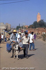 Ourika Valley and Berber Market