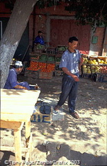 Ourika Valley and Berber Market