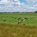 Beautiful Edam countryside