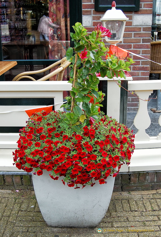 DSC 0903 (817 visite) DSC 0903