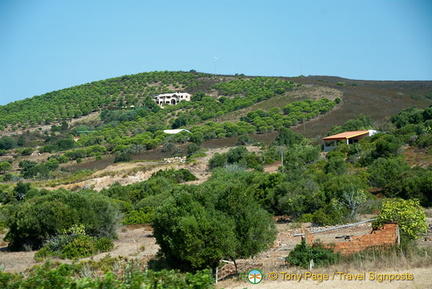 Sagres Penisula