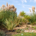 Vilamoura - Algarve (1768 heimsóknir) Vila Sol Resort Garden Vila Sol Resort Vilamoura - Algarve