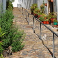 Castelo de Vide, Portugal (1130 visits) Castelo de Vide, Portugal