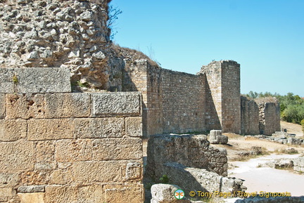 Conimbrigia, Portugal