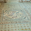 Conimbrigia, Portugal (983 visits) Conimbrigia, Portugal