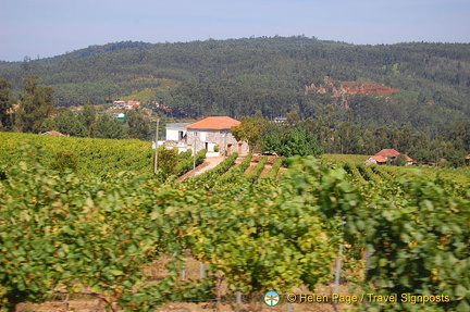 Douro valley, Portugal