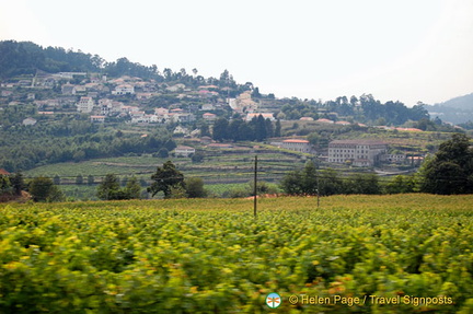 Douro valley, Portugal