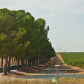Evora, Portugal (1283 visits) Evora, Portugal