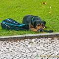 Lisbon (939 visits) Lisbon
