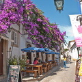 Obidos - Portugal (1864 visits) Obidos' beautiful bougainvilleas Obidos - Portugal