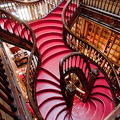 Lello bookshop, Oporto (1984 ביקורים) Lello's famous swirling staircase Lello bookshop, Oporto