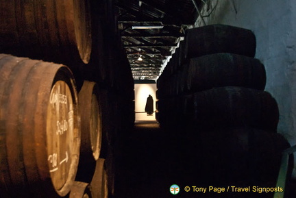 House of Sandeman visit and port tasting, Oporto