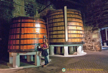 House of Sandeman visit and port tasting, Oporto