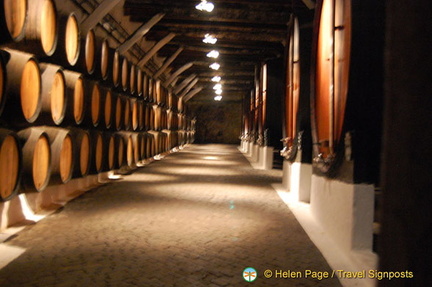 House of Sandeman visit and port tasting, Oporto