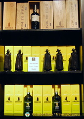 House of Sandeman visit and port tasting, Oporto