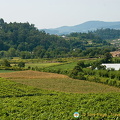 Quinta da Lixa winery, Douro, Portugal (945访问量) Quinta da Lixa winery, Douro, Portugal