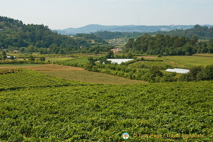 Quinta da Lixa winery, Douro, Portugal