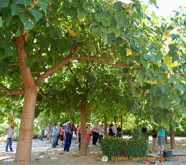 Quinta da Lixa winery, Douro, Portugal