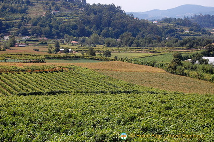 Quinta da Lixa winery, Douro, Portugal