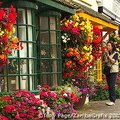 Colourful flower display's on one of Stratford-on-Avon's main streets (1594 visits) Colourful flower display's on one of Stratford-on-Avon's main streets Colourful flower display's on one of Stratford-on-Avon's main streets