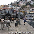 Donkeys waiting for passengers, Hydra/5/ (被訪問過 1292 次) Donkeys waiting for passengers, Hydra/5/ Donkeys waiting for passengers, Hydra/5/