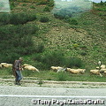 mainlandgreece_0039.jpg (1492 visits) mainlandgreece_0039.jpg