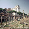 The Forum, Rome (2091 visits) The Forum, Rome The Forum, Rome