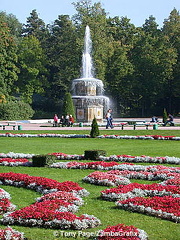 Petrodvorets, The summer residence of Peter the Great