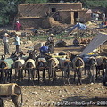 Parking lot at the Berber Market (2745 visites) Parking lot at the Berber Market Parking lot at the Berber Market