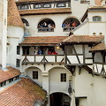 Bran Castle, Transylvania, Romania (825 visits) Bran Castle, Transylvania, Romania