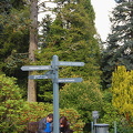 DSC 9799