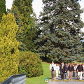 DSC 9800